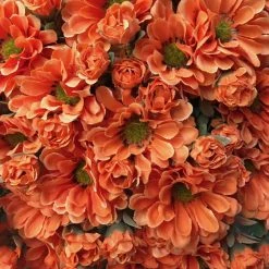 TheHolidayBarn.com Orange Mum Bunch New!