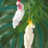 Cody Foster Cockatoo Ornaments New!