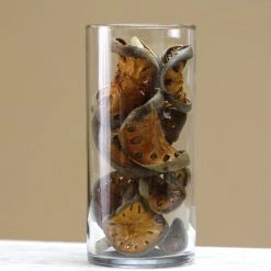 TheHolidayBarn.com Dried Quince Slices Vase Filler