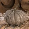 Bethany Lowe Glass Glitter Pumpkin, 6.75"