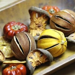 TheHolidayBarn.com Dried Quince Slices Vase Filler