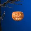 Bethany Lowe Jack-O'-Lantern Votive Holder