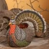 Bethany Lowe Johanna Parker Festive Turkey Container