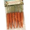 Bethany Lowe New! Mini Carrot Ornaments
