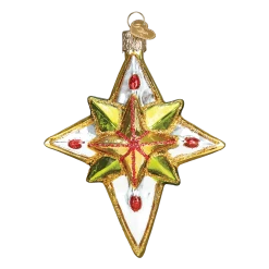 Old World Christmas Luminous Star Glass Ornament