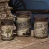 Bethany Lowe Witch’s Conservatory Tin Canisters New!